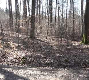 Geschichtlicher Lehrpfad Einsiedel