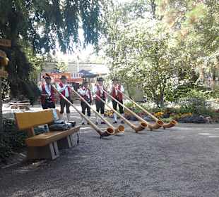 Alphorn-Konzert