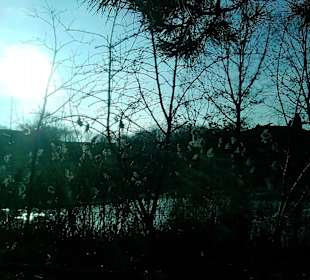 Winterliche Stimmung im ZOOM