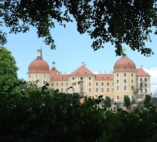 Moritzburg