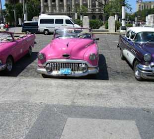 Herausgeputzte Oldtimer 