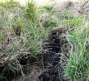 Impressionen vom Schwimmenden Moor