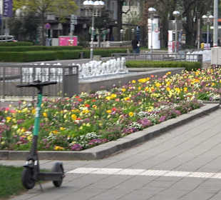 Festplatz Karlsruhe