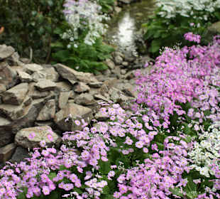 Ogród botaniczny, Köln