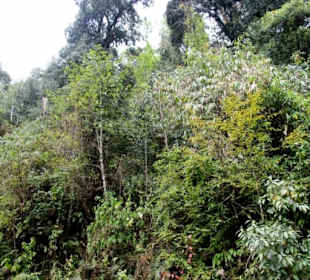 Restaurant Dantak Canteen