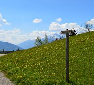 Auf dem Taser Höhenweg