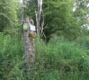 Hochgeträumt Premiumwanderung