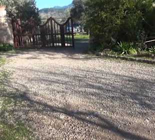 Garten "Turm der Araber"