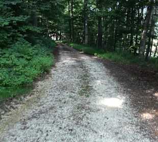 Premiumwanderweg "hochgesprudelt"