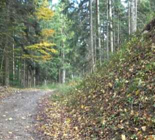 Geschichtslehrpfad Streichen