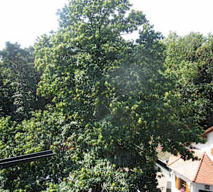 Sieges- und Friedensdenkmal