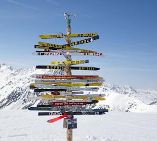 Wer weis, wo's langgeht?