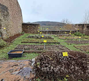 Burgruine Lichtenberg Thallichtenberg