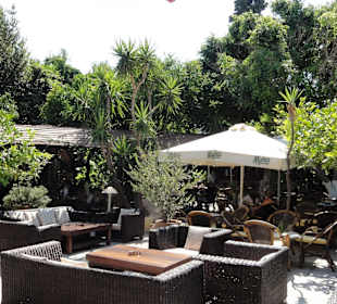 Socratous Garden 