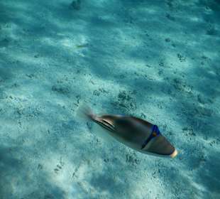 Riff am Makadi Palace