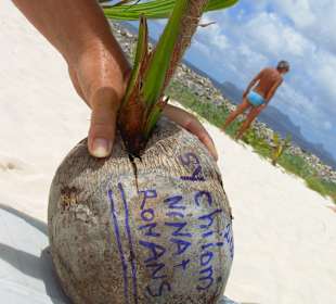 Neue Palmen für Sandy Island, Carriacou