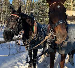 Schlittenfahrt Oberwiesenthal