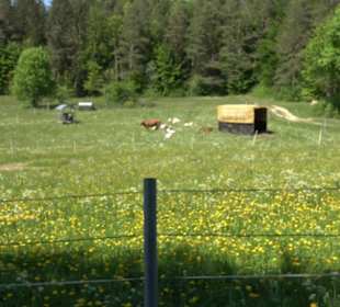 Premiumwanderweg Hochgehschätzt