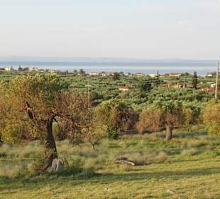 Blick vom Hügel Richtung Hotel und Kassandra