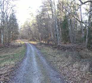 Wanderung rund um den Ochsenweiher