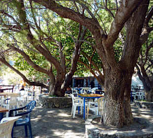 Palmenstrand von Preveli