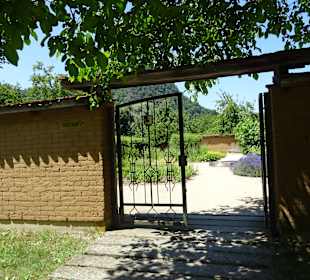 Schaffhauser Kräutergarten