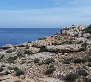 Trittsicherheit gefordert 