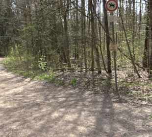 Totenbachsee