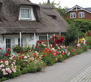 Wandern Norddorf auf Amrum