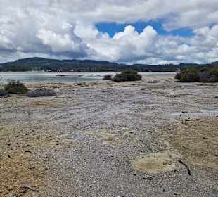 Geothermal Walking Track