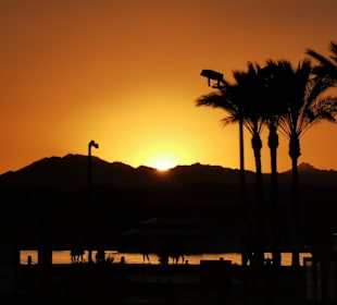 Yachthafen Port Ghalib