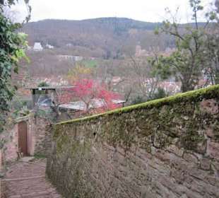 Schlangenweg zum Philosophenweg