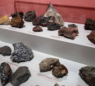 Geologische Abteilung des Stadtmuseums