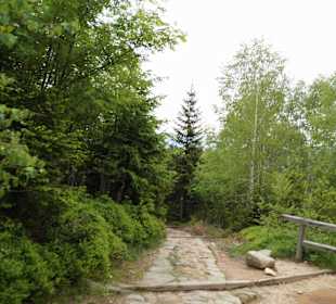 Karkonoski Park Narodowy