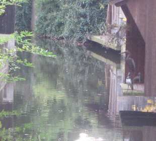 Impressionen Altstadt Wissembourg