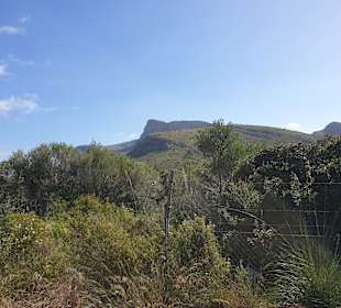 Wanderung Betlem - Ermita Betlem Artà