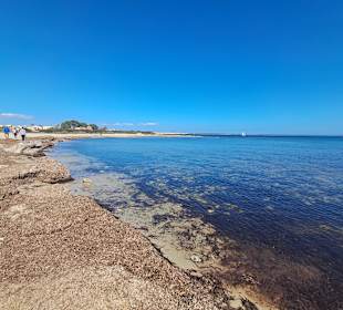 Ses Covetes in Sa Rapita