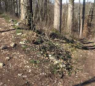 Klosterfelsenweg