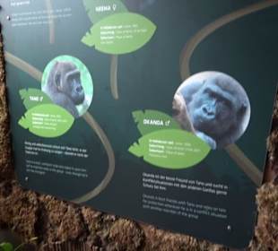 Tierpark Hellabrunn - Welt der Affen