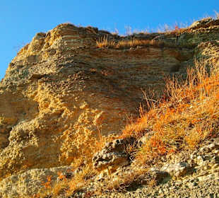 Kalkfelsen des Jenzig