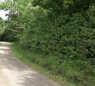 Themenweg Kaiserweg Zimmern