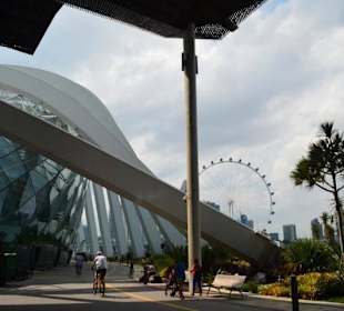 Gardens by the Bay