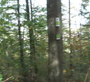 Premiumwanderweg hochgehkeltert