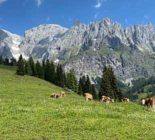 Wandern Hochkönig