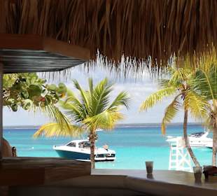 Catalina Bar Ausblick