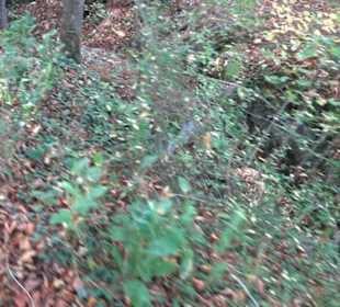 Höllenlöcher Hohenneuffen