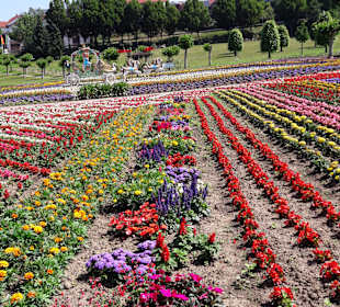 Wandern Waldmünchen