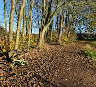 Eindrücke vom Rundweg durch den Volkspark Bokel