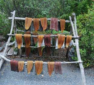 Отделка и сушка кожи.