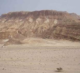 Sinai